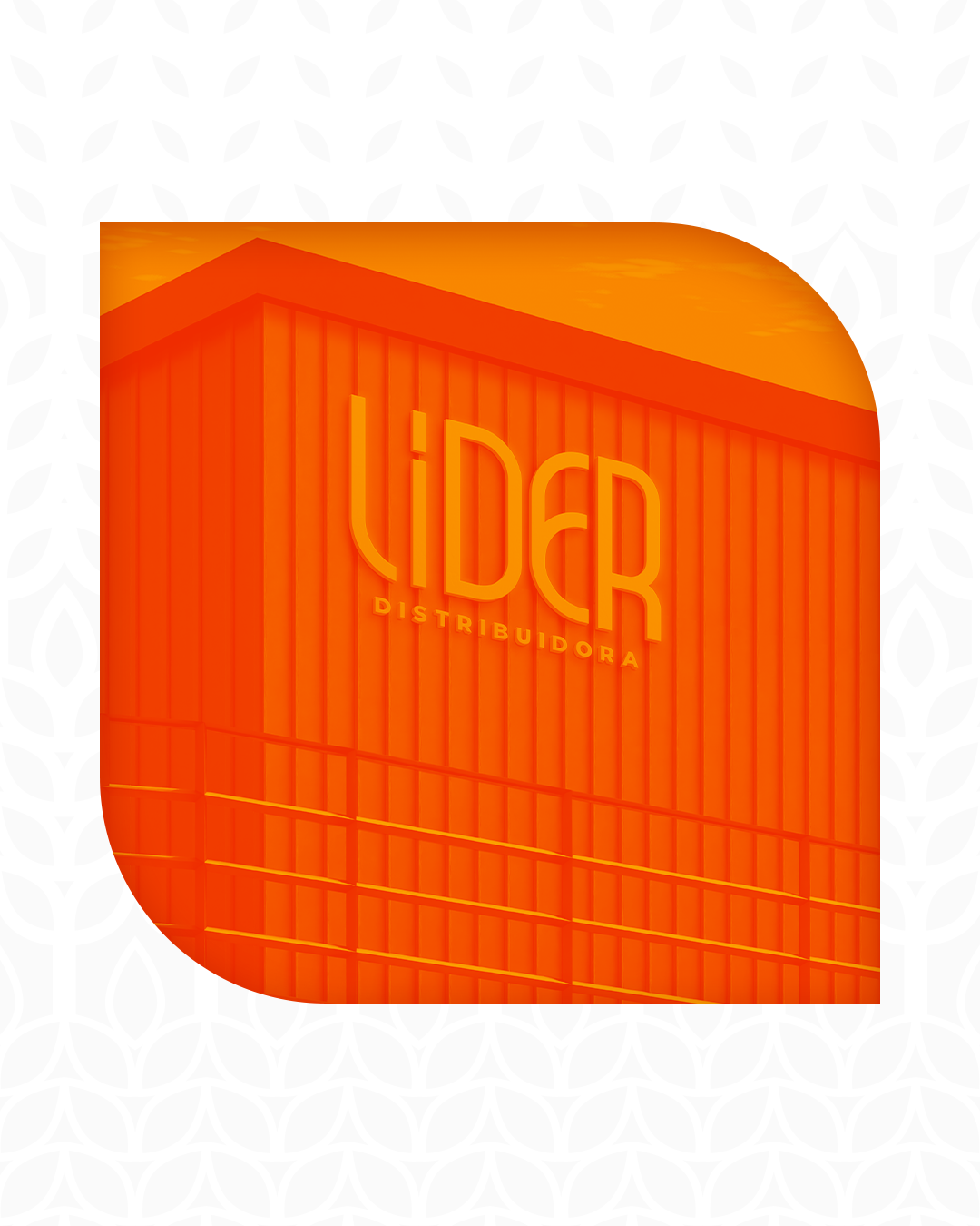 Apresentação de Rebrand - JSG e LIDER Distribuidora, imagem 6