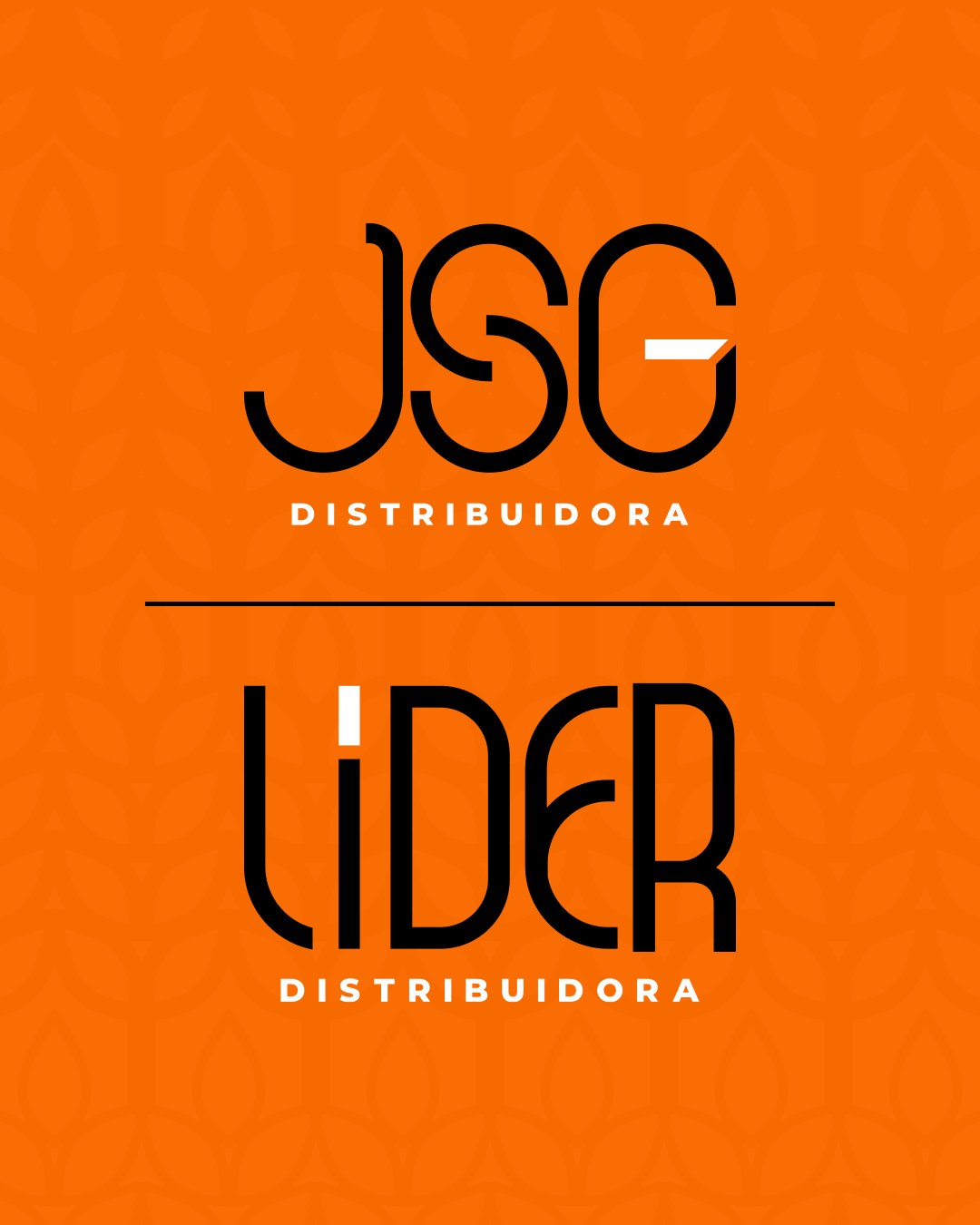 Apresentação de Rebrand - JSG e LIDER Distribuidora, imagem 10