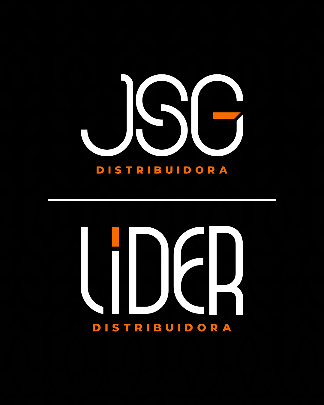 Apresentação de Rebrand - JSG e LIDER Distribuidora, imagem 11