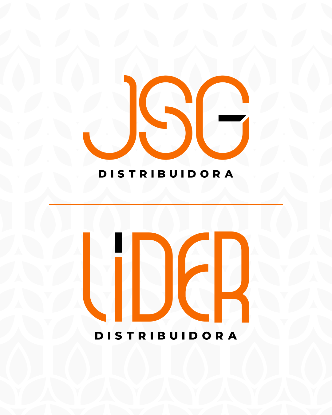Apresentação de Rebrand - JSG e LIDER Distribuidora, imagem 12