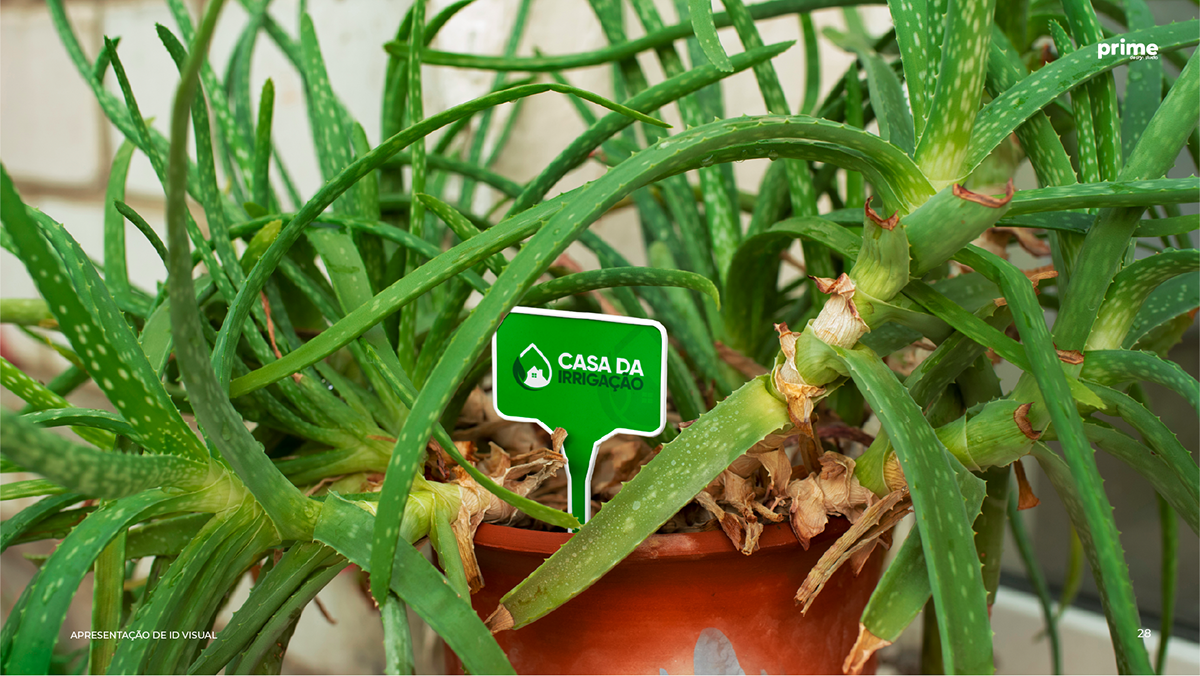 Identidade Visual Casa da Irrigação - Agro, imagem 27