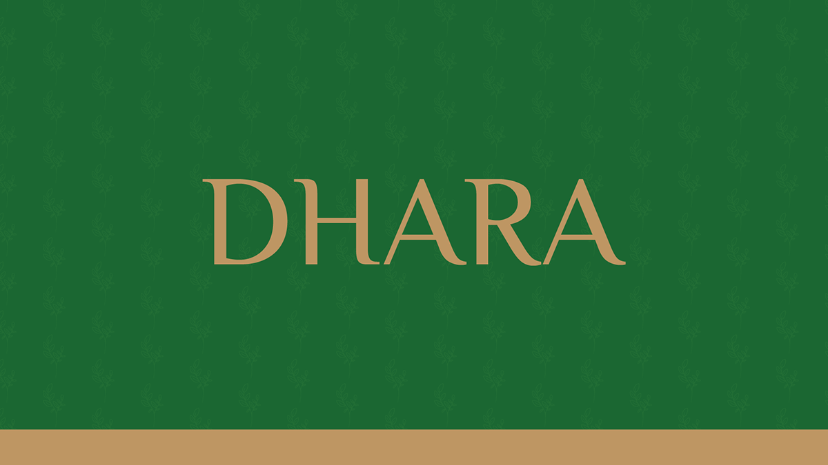 Identidade Visual Dhara - Marca de Roupas Femininas, imagem 1