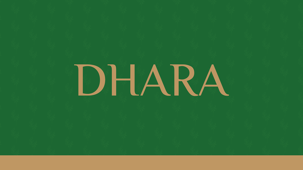 Identidade Visual Dhara - Marca de Roupas Femininas, imagem 6