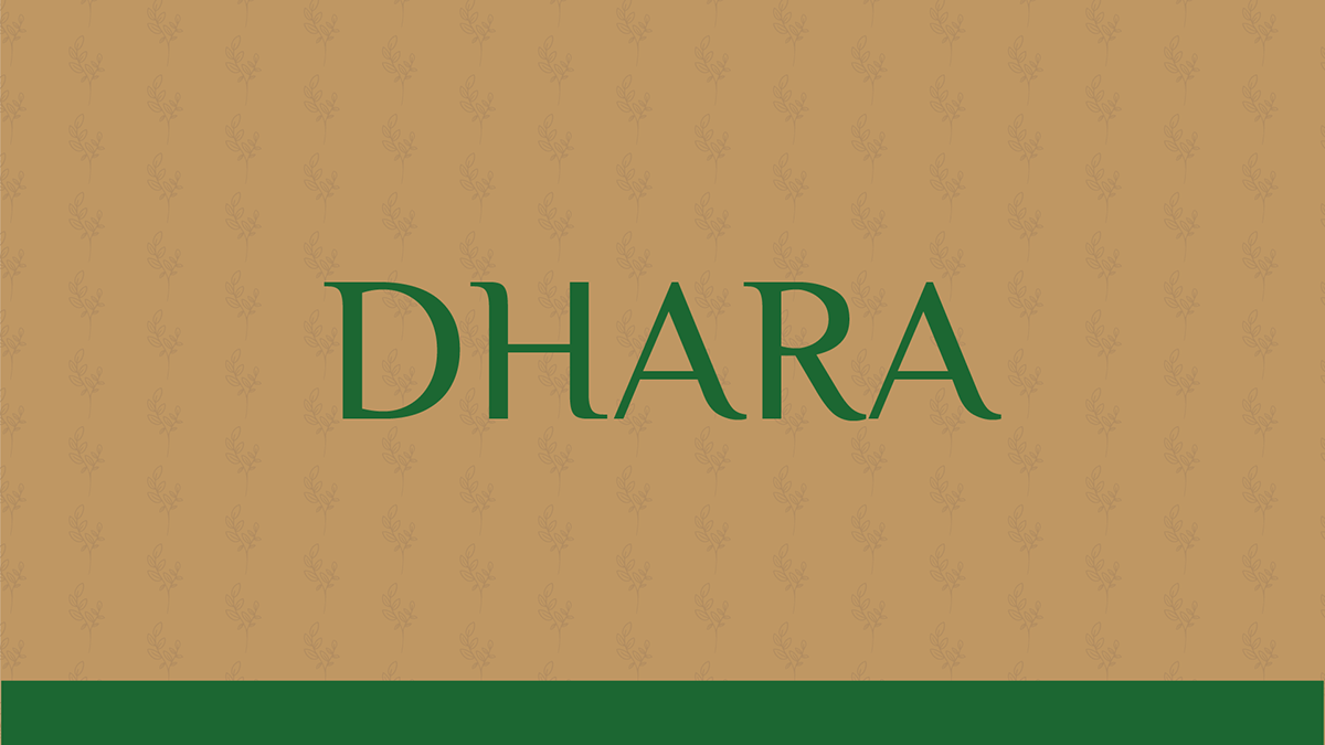 Identidade Visual Dhara - Marca de Roupas Femininas, imagem 7