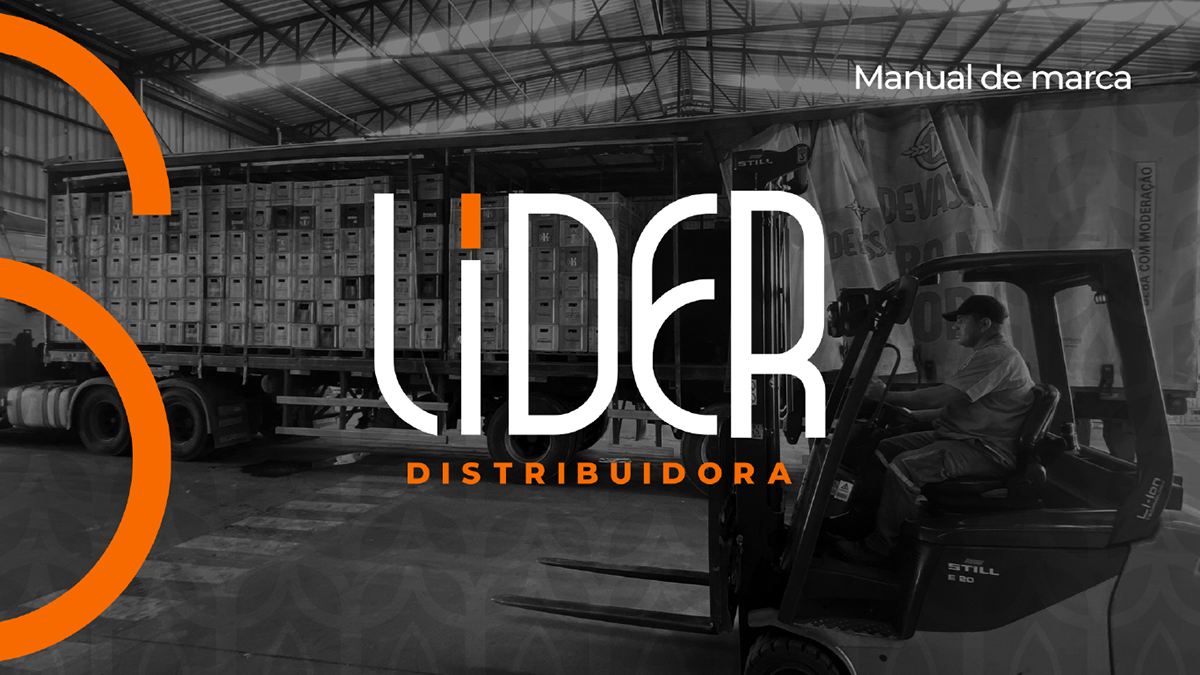 Manual de Identidade Visual LIDER Distribuidora, imagem 1