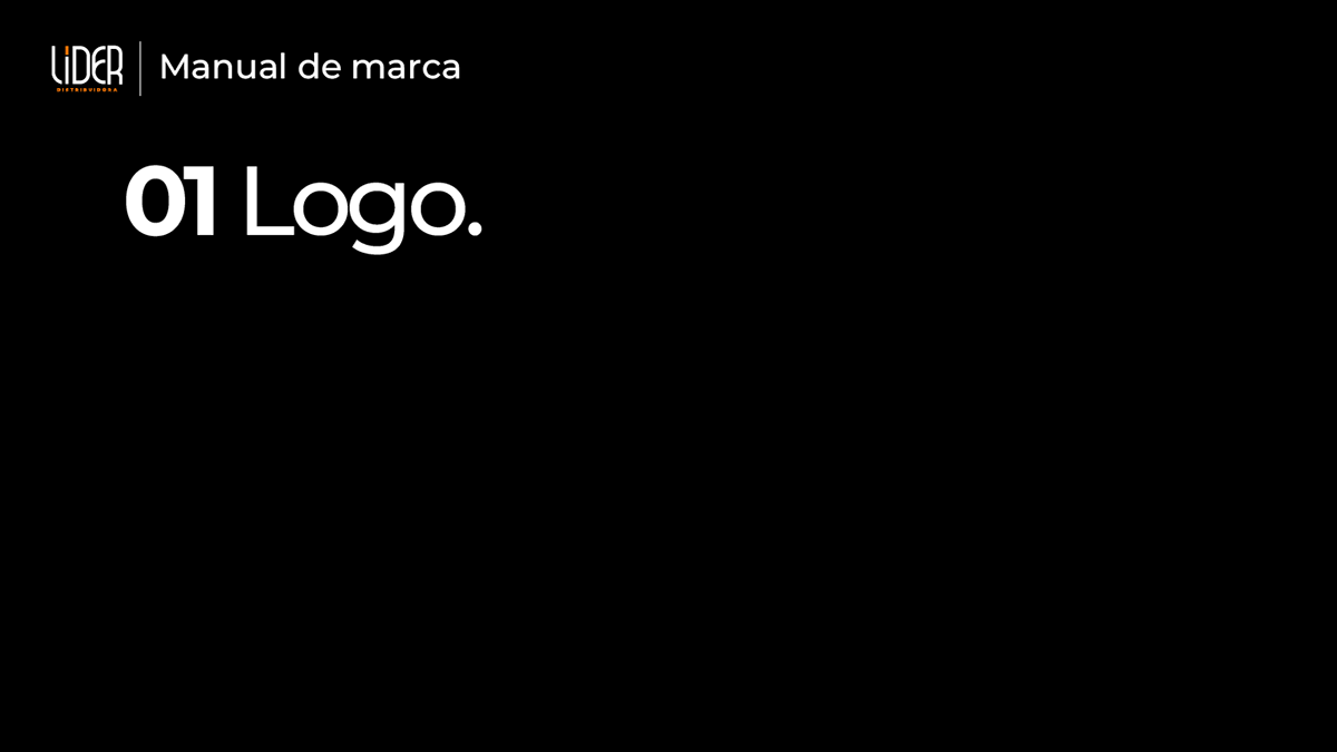 Manual de Identidade Visual LIDER Distribuidora, imagem 2