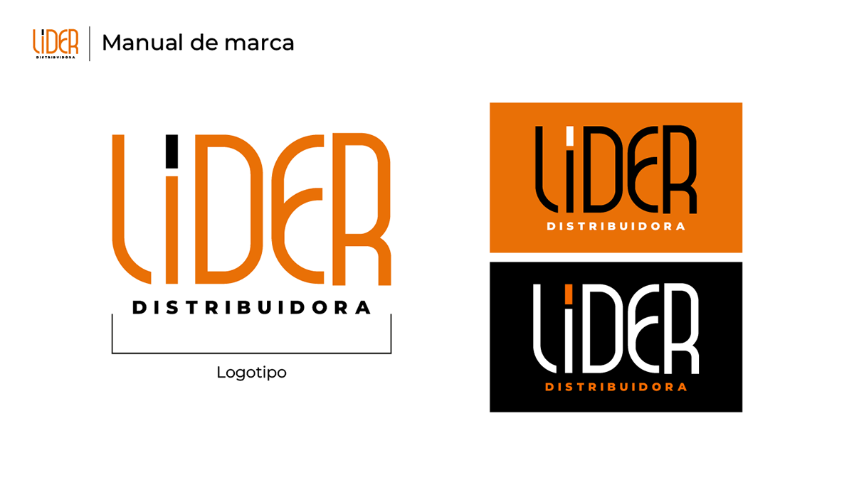 Manual de Identidade Visual LIDER Distribuidora, imagem 3