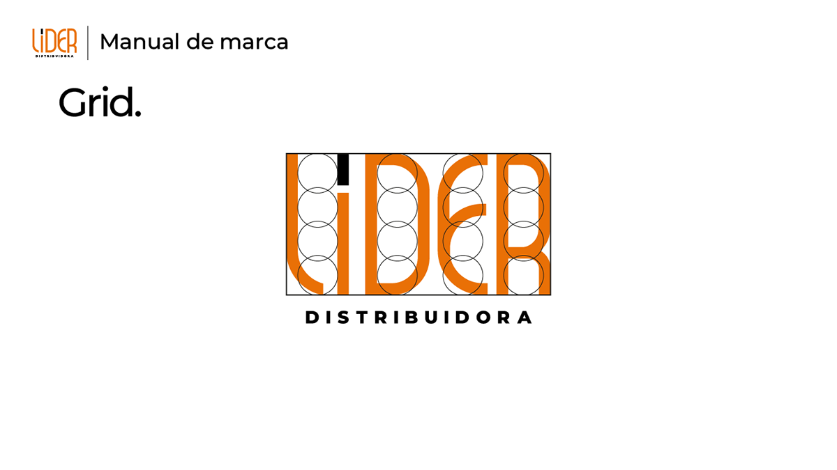 Manual de Identidade Visual LIDER Distribuidora, imagem 4