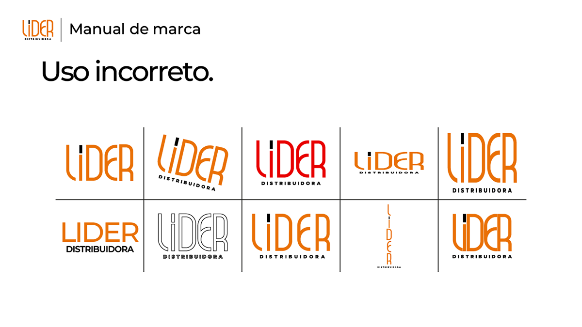 Manual de Identidade Visual LIDER Distribuidora, imagem 5