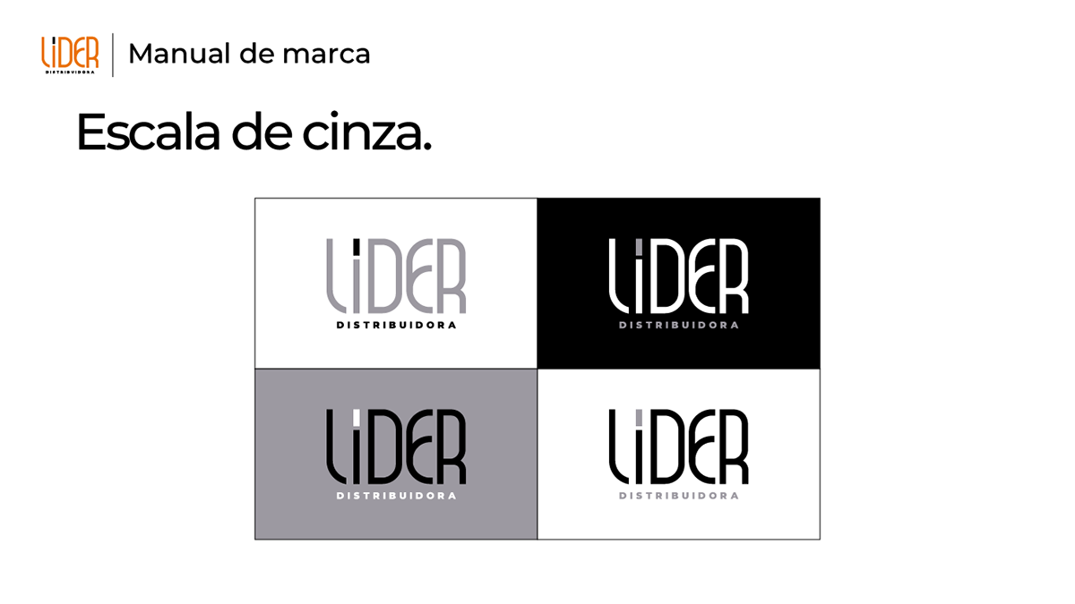 Manual de Identidade Visual LIDER Distribuidora, imagem 7