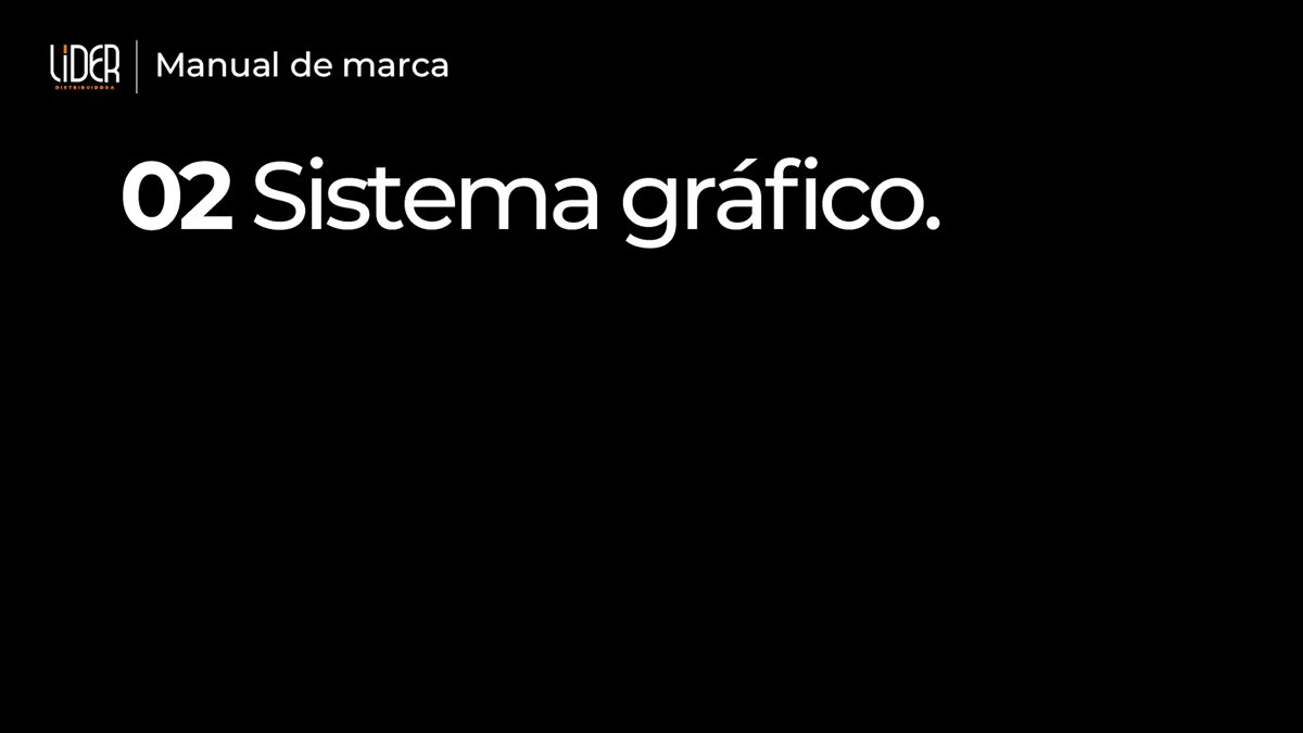 Manual de Identidade Visual LIDER Distribuidora, imagem 8