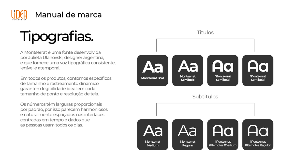 Manual de Identidade Visual LIDER Distribuidora, imagem 9
