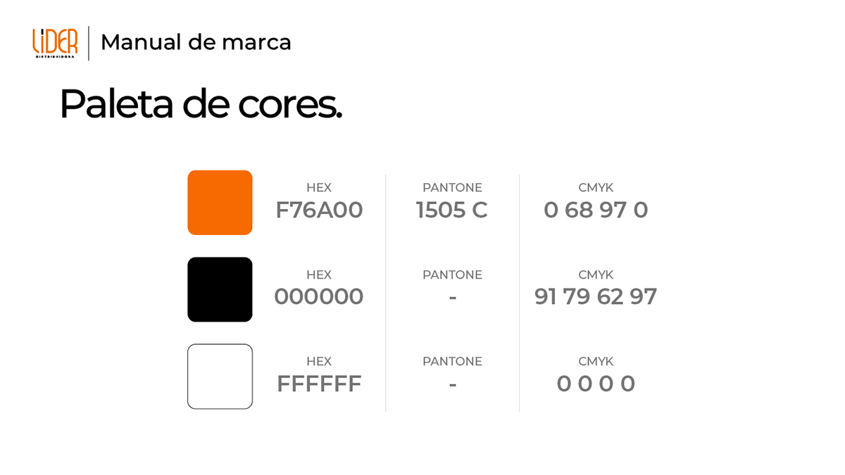 Manual de Identidade Visual LIDER Distribuidora, imagem 10