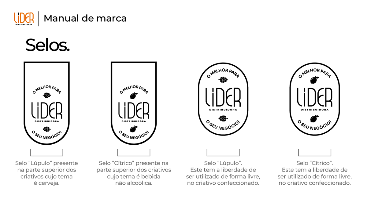 Manual de Identidade Visual LIDER Distribuidora, imagem 12