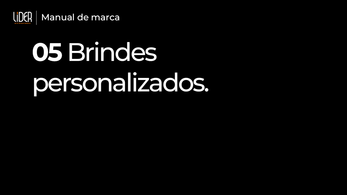 Manual de Identidade Visual LIDER Distribuidora, imagem 22