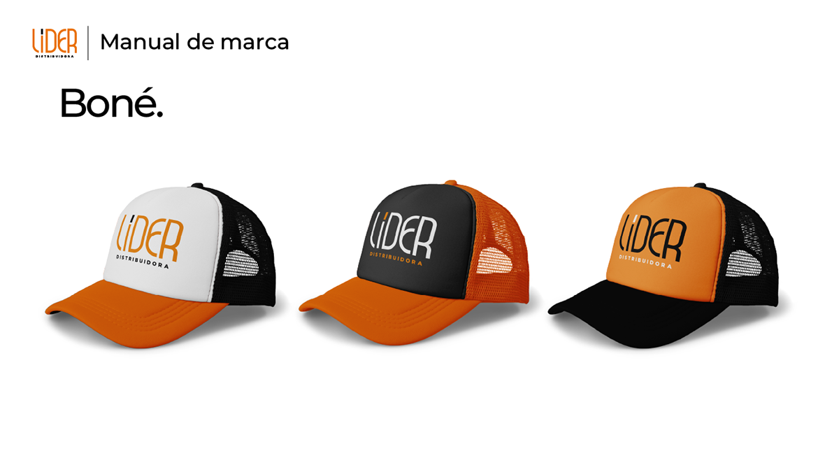 Manual de Identidade Visual LIDER Distribuidora, imagem 25